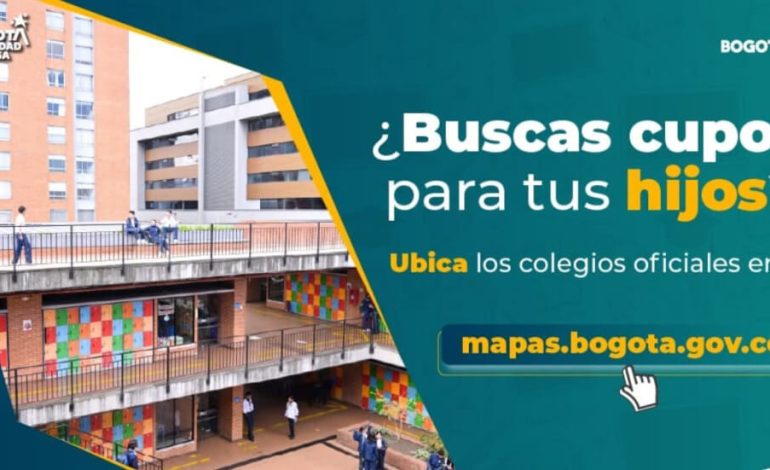Colegios oficiales: mapa para ubicar cupos