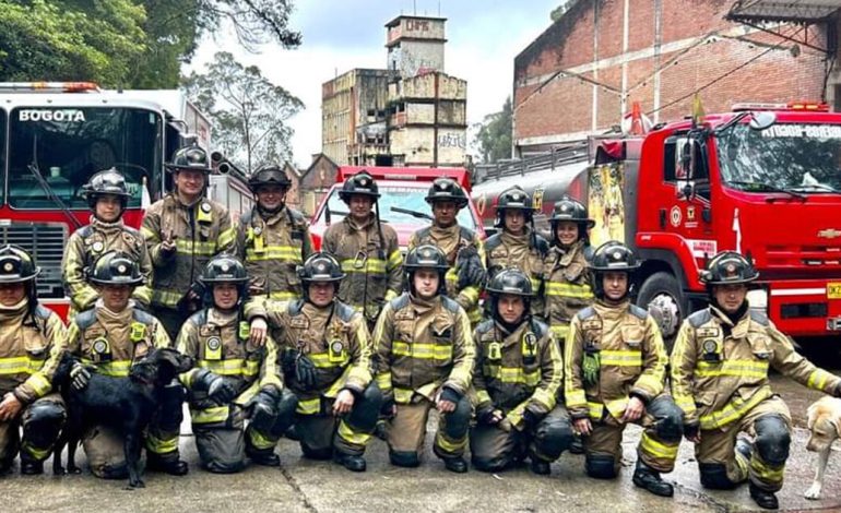 Bomberos de Bogotá trabajando entre escombros, en referencia al recaudo de la sobretasa bomberil