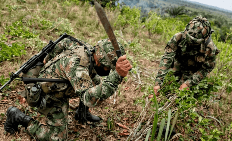 Agentes federales revisando reportes sobre narcotrafico y control fronterizo