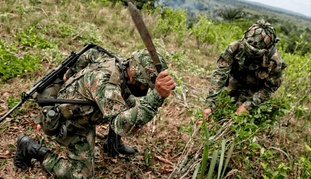 Narcotráfico en Colombia: Estados Unidos mantiene descertificación pero conserva ayudas para la administración nacional
